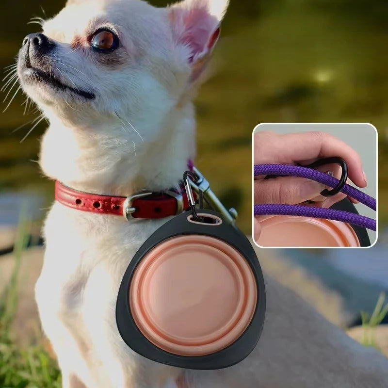 ciotola pieghevole per cani - portatile da viaggio