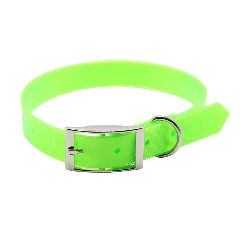 collare nylon per cani regolabile e resistente
