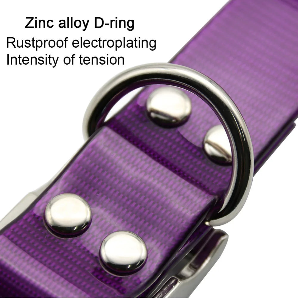 collare nylon per cani regolabile e resistente