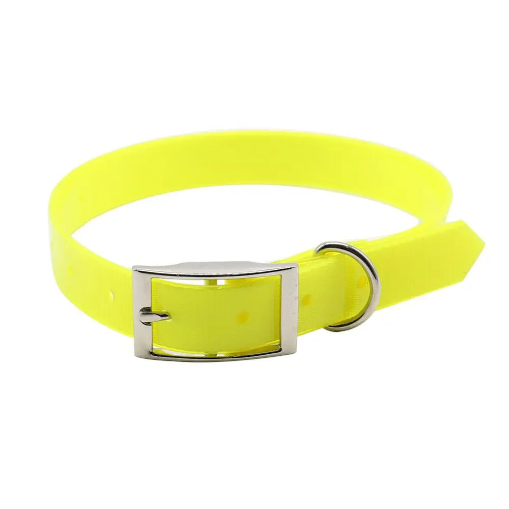 collare nylon per cani regolabile e resistente