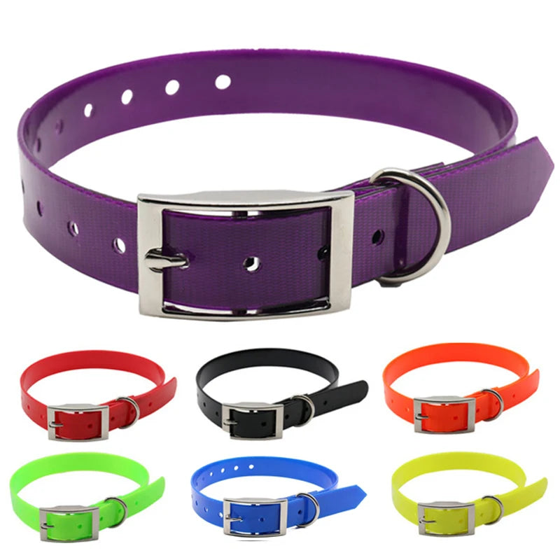 collare nylon per cani regolabile e resistente