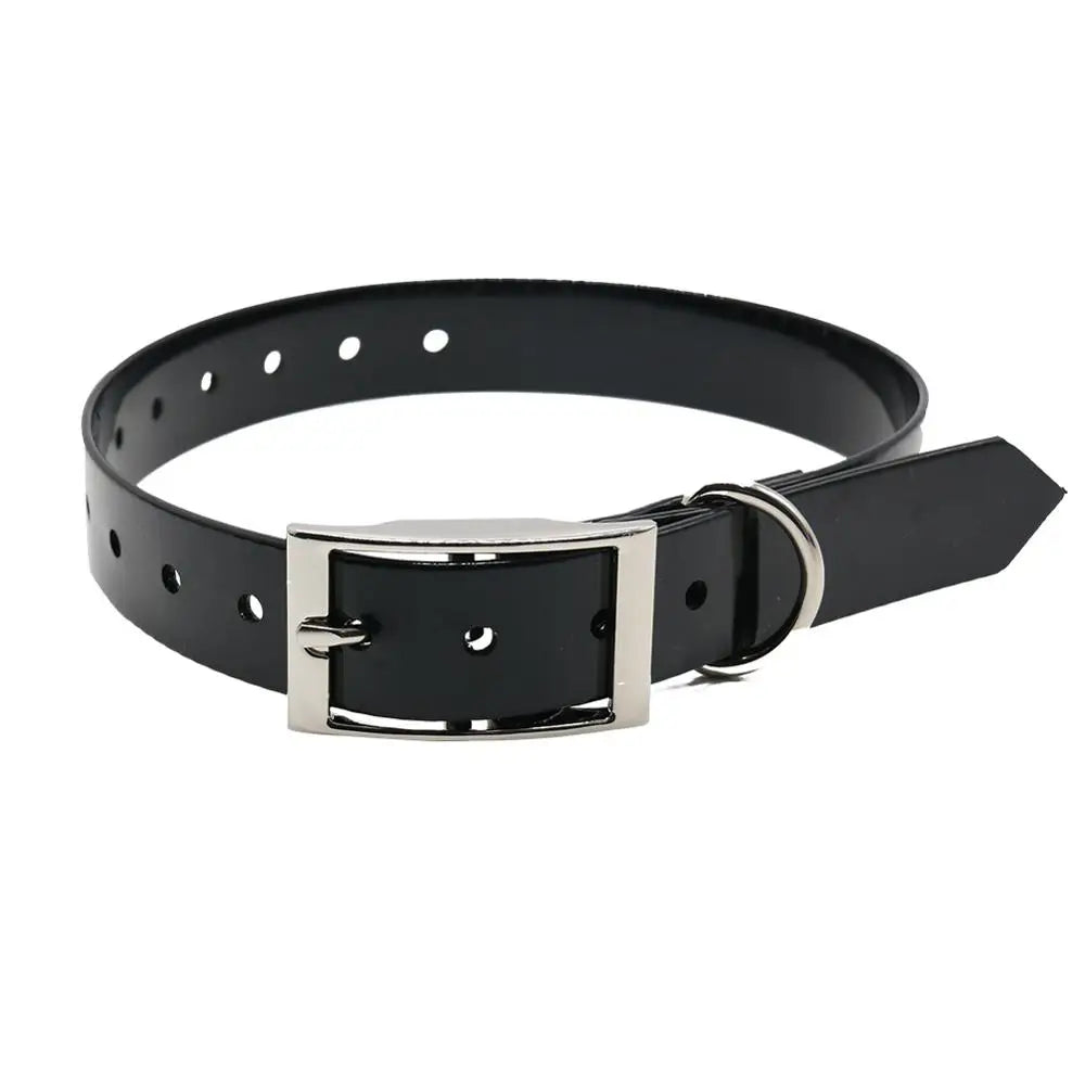 collare nylon per cani regolabile e resistente