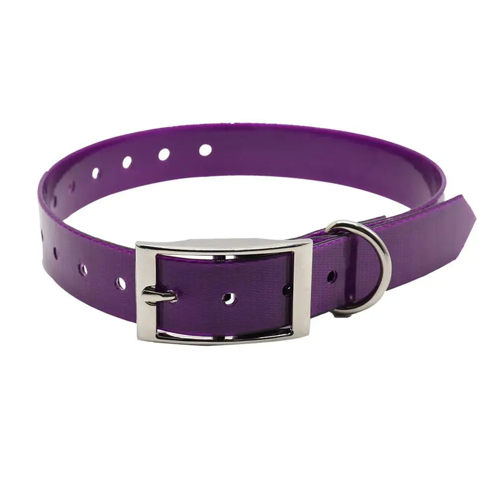 collare nylon per cani regolabile e resistente