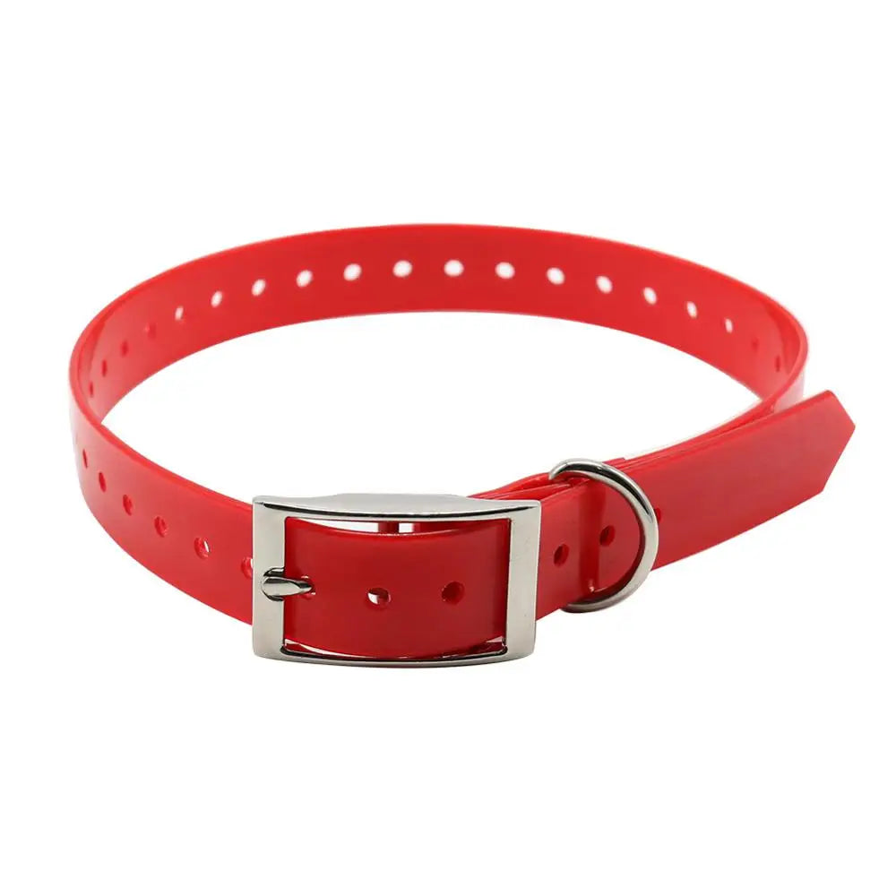 collare nylon per cani regolabile e resistente