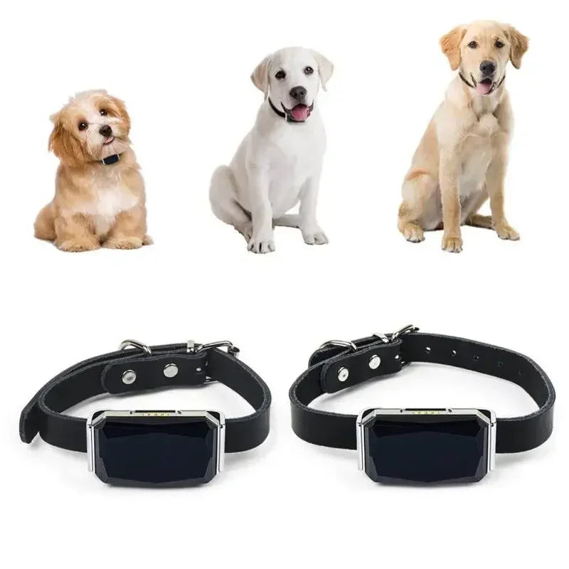 Tieniti sempre vicino al tuo amico a quattro zampe, ovunque sia! Il nostro Collare GPS impermeabile ti permette di monitorare in tempo reale la posizione del tuo cane direttamente dal tuo smartphone