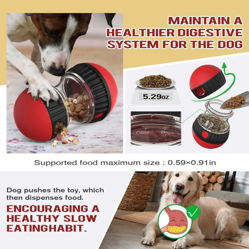 gioco interrativo per cani - trova il cibo