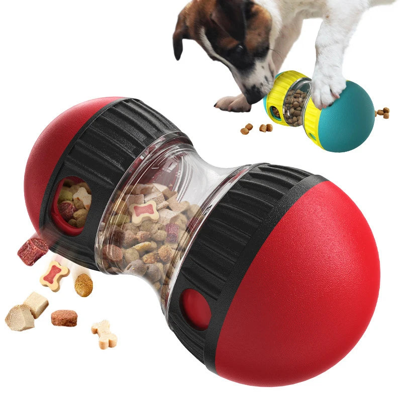 gioco interrativo per cani - trova il cibo