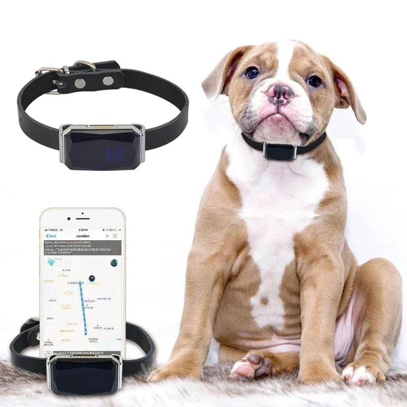 Tieniti sempre vicino al tuo amico a quattro zampe, ovunque sia! Il nostro Collare GPS impermeabile ti permette di monitorare in tempo reale la posizione del tuo cane direttamente dal tuo smartphone