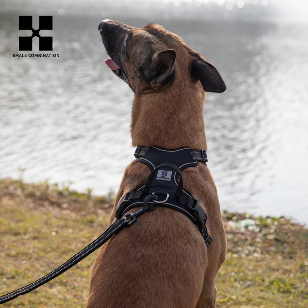 Pettorina per cani anti-tiro con clip anteriore, resistente e riflettente, con maniglia di facile controllo per passeggiate🐾